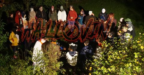 Hallovin 2015