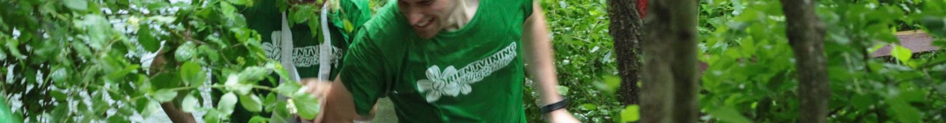Orientvining Spring Edition